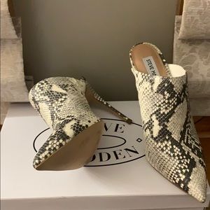 Snakeskin Steve Madden Heels